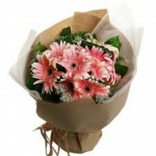 Terkeren 25+ Foto Bunga Gerbera - Gambar Bunga HD