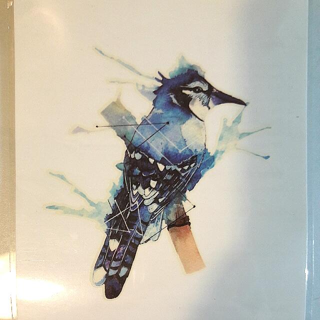 Blue Jay Watercolour Temporary Tattoo Hobbies Toys Stationery Craft Art Prints On Carousell