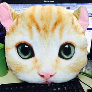 Promo Bantal Kepala Kucing