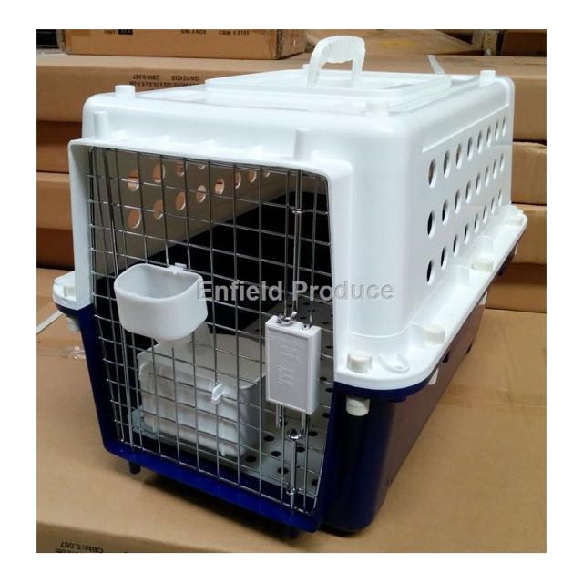 Pp30 Airline Crate Photos All