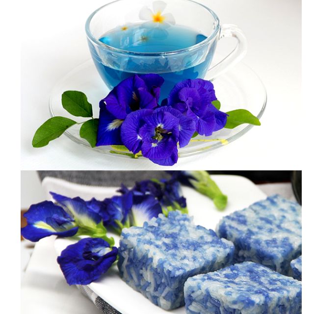 Organic Dried Butterfly Blue Pea Flower (Bunga Telang ...
