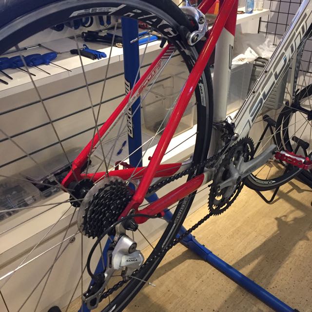 scott speedster s50 road bike