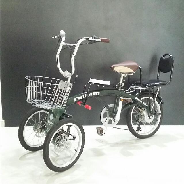 tricycle bike for adults with child seats