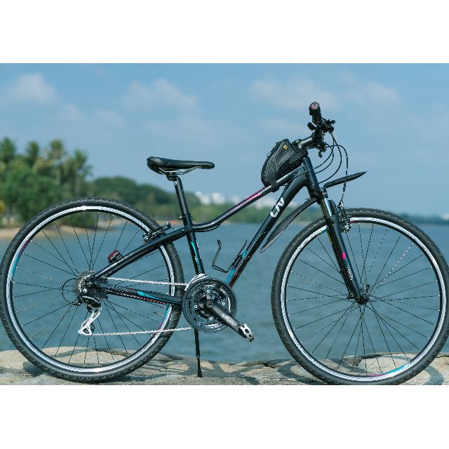 Giant liv cheap rove 3 2017