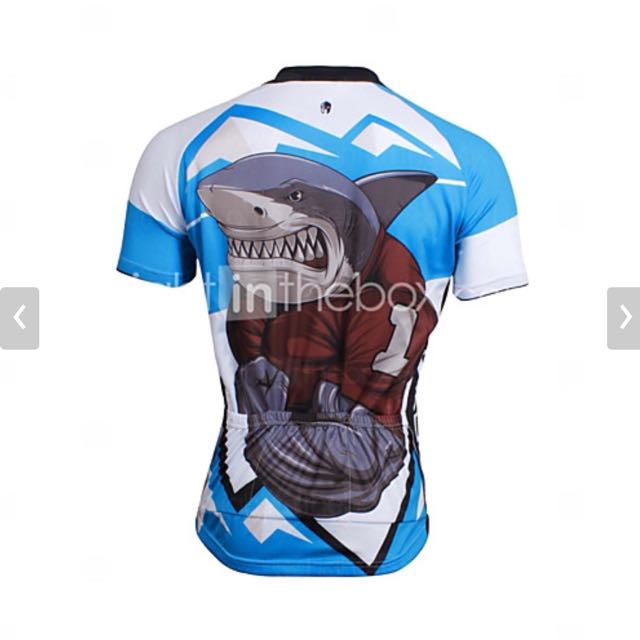 Paladin cycling jersey on sale