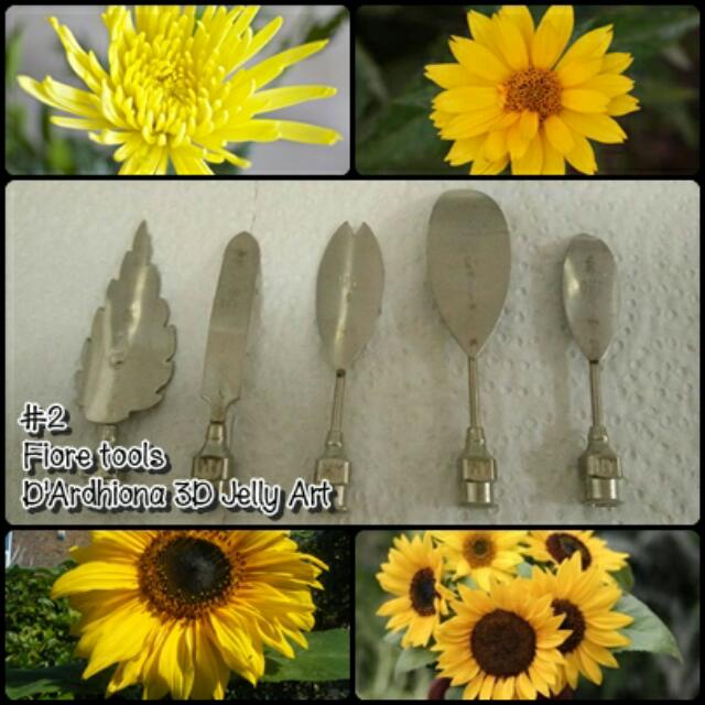Fiore 3d Jelly Art Tools 2 Home Appliances On Carousell