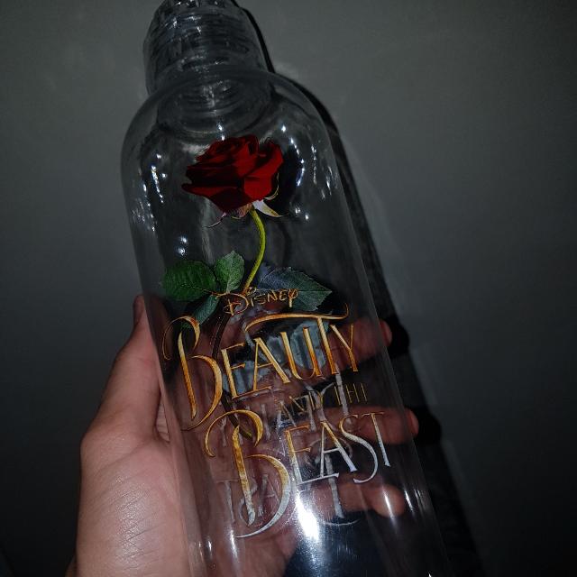 Beauty and The Beast Bottle, Everything Else on Carousell