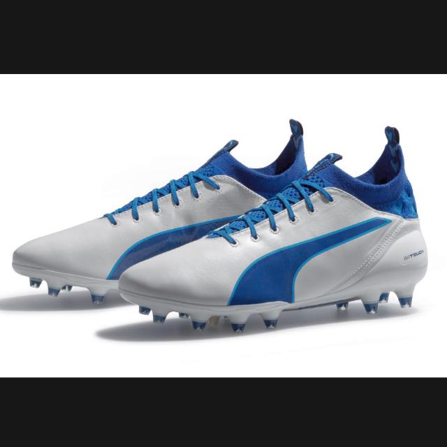 Puma evotouch fg online