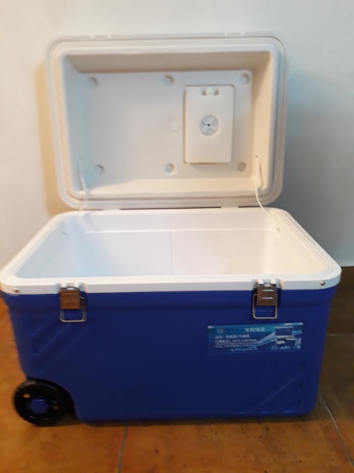 Brand new large cooler box, Sports Equipment, Sports & Games, Water
