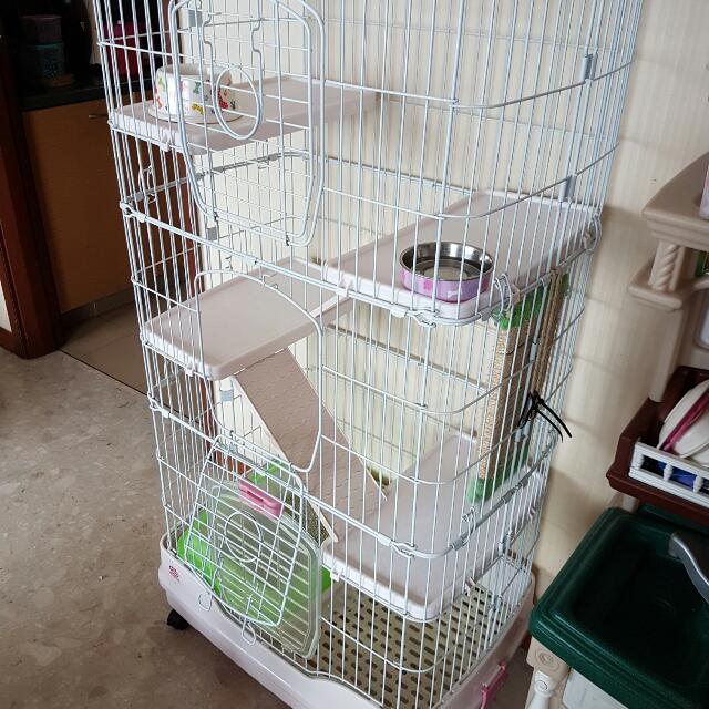 tall cat cage