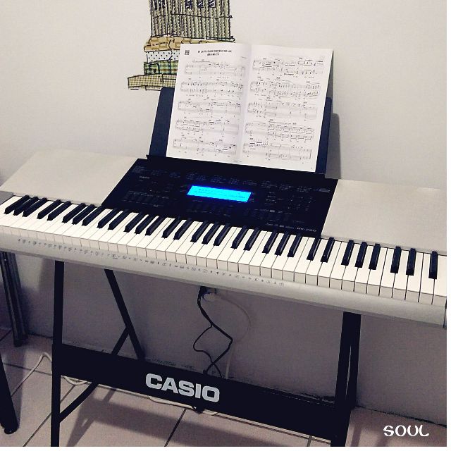 CASIO WK-220 電子琴- 76 鍵☆ 誠可議價, 興趣及遊戲, 音樂, 樂器在