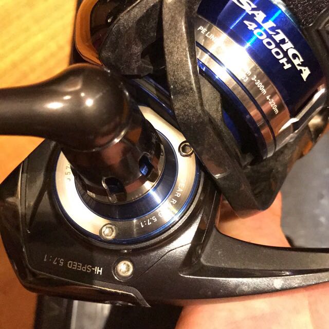 daiwa saltiga 4000 h