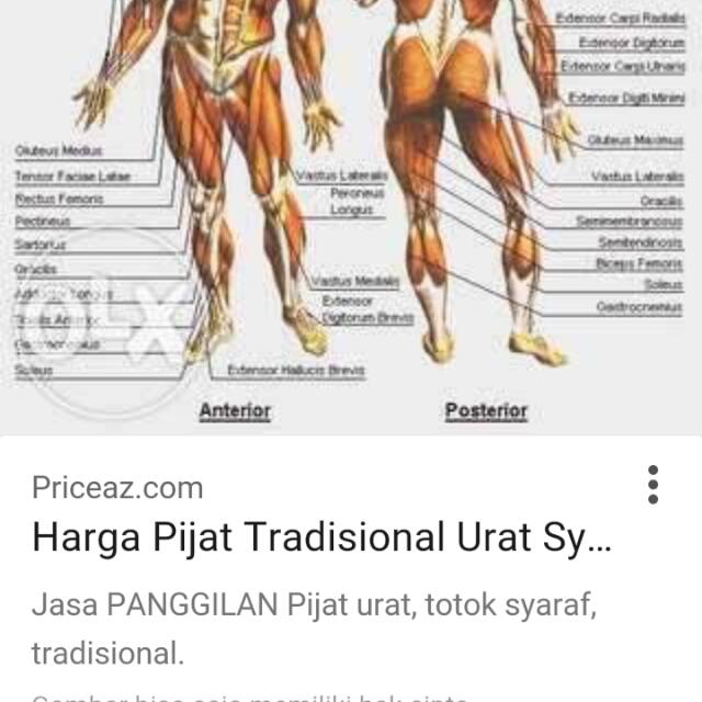 Jasa Tukang Pijat Community On Carousell