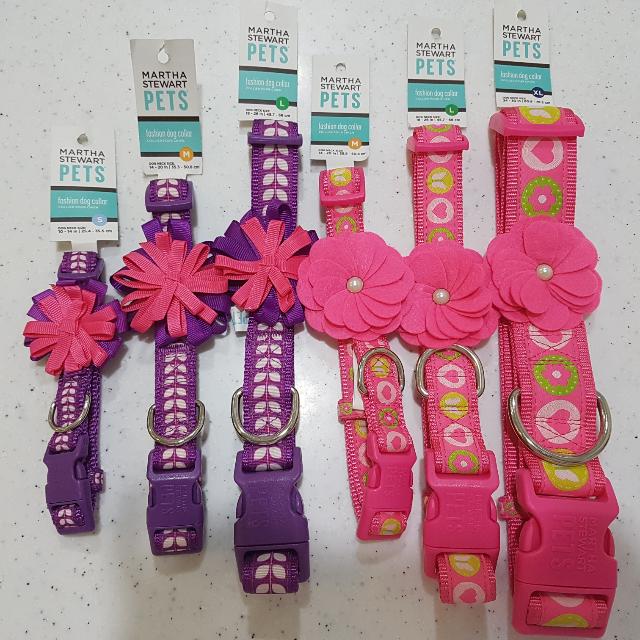Martha Stewart Dog Collar 2024 levitan