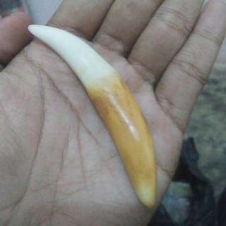 (Kategori: ) berada di . Dikirim oleh mbah_jambrong_cakraboeana (ID iklan 98008954, Gambar 1). Deskripsi: .