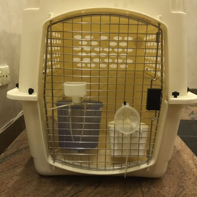 Large Dog / Pet Crate *Airline Approved*, Pet Supplies, Homes & Other