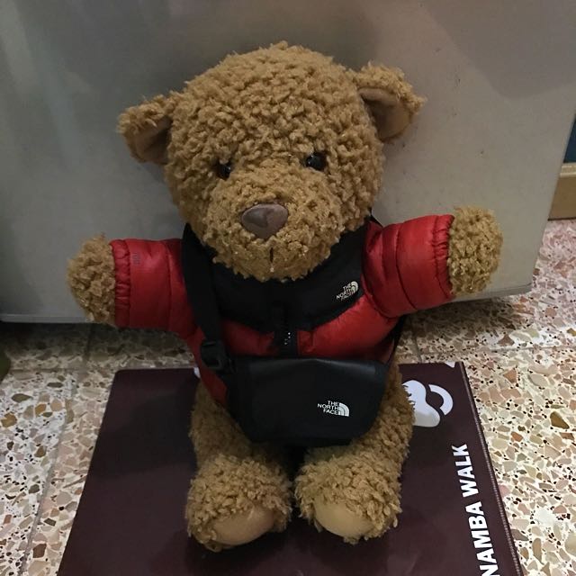 the north face bear