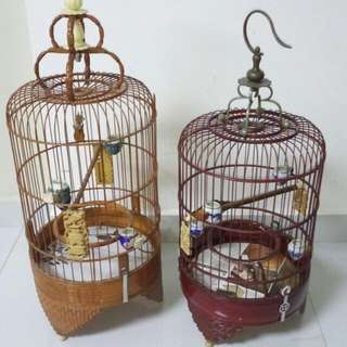 Mata Puteh Cage