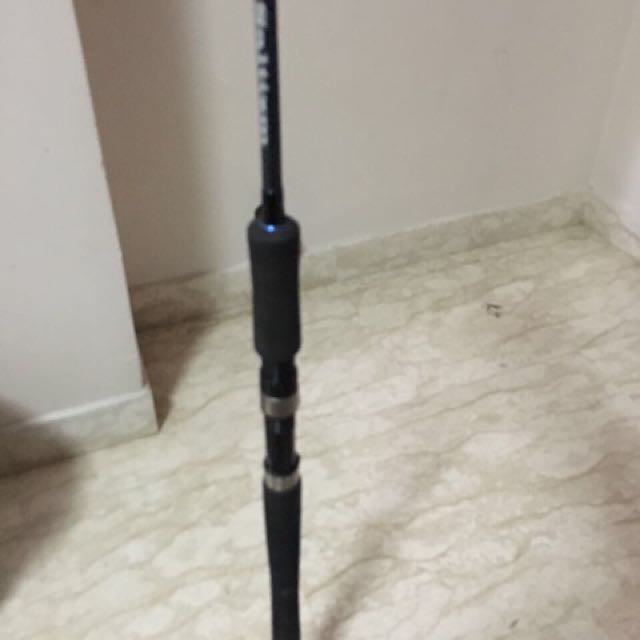 Saltizm Fishing Rod, Sports Equipment, Fishing on Carousell