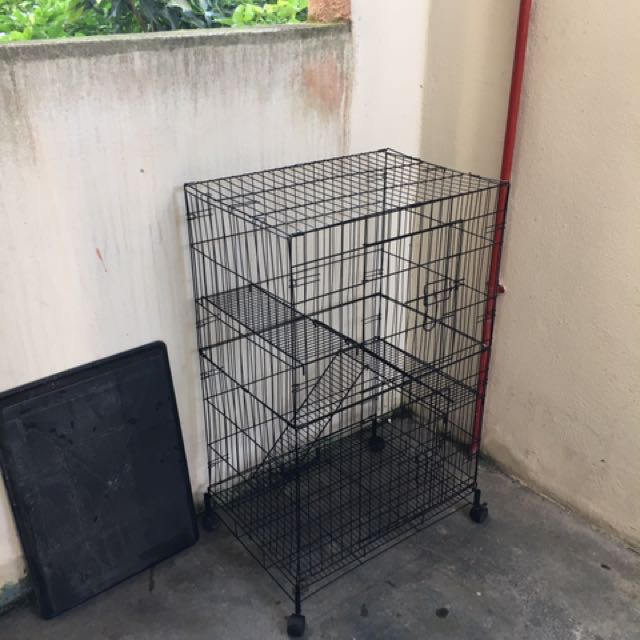 Sangkar Kucing 2 Tingkat 2 Pintu, Pet Supplies, Pet Accessories on 