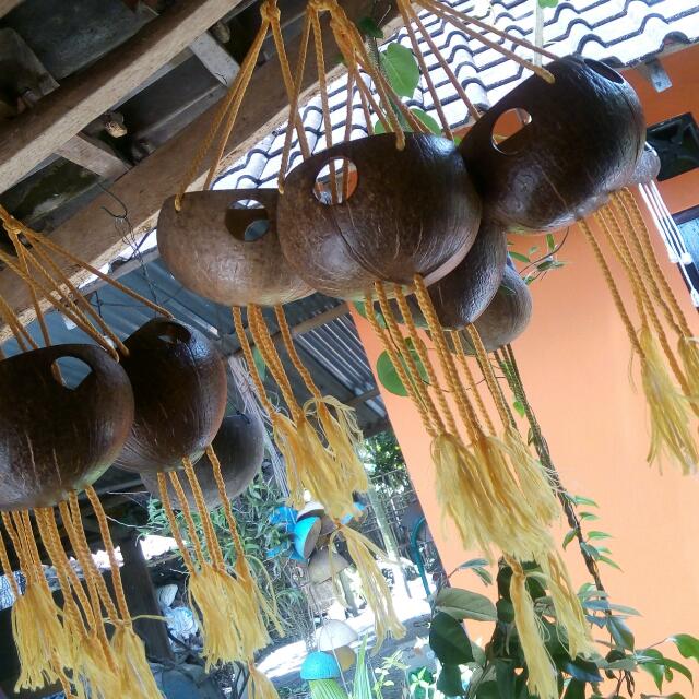 Luar Biasa Pot Gantung Dari Batok Kelapa Bunga Hias