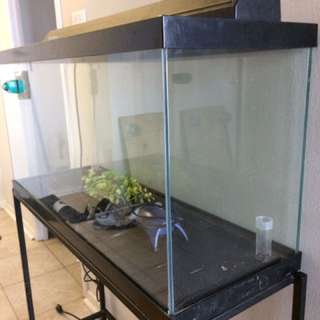 Fish Tank 38 Gallon