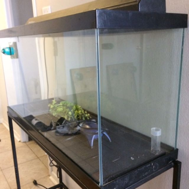 38 gallon aquarium sales
