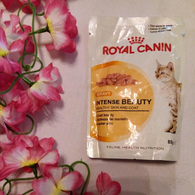 Royal Canin Intense Beauty Wet Food 85 G Pets Supplies Pet Food On Carousell