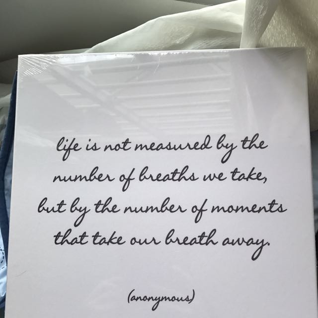 Bnip Canvas Quote Monoyolo Take My Breath Away Furniture Home Decor On Carousell