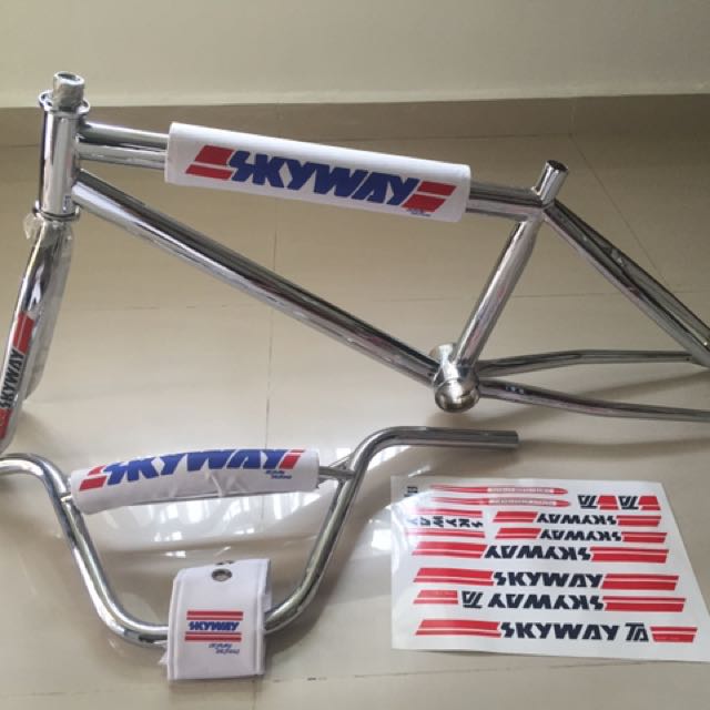 skyway ta frame and fork