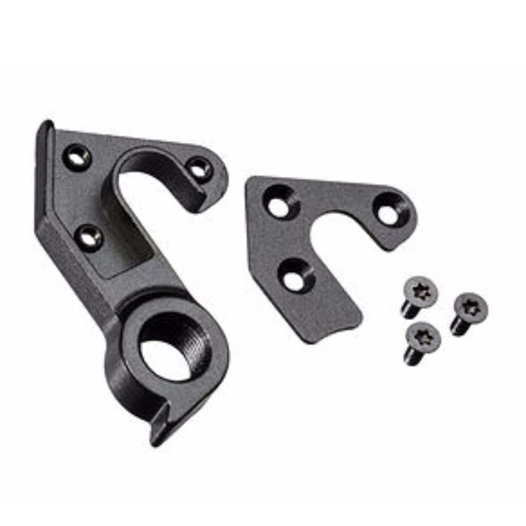 derailleur hanger 25