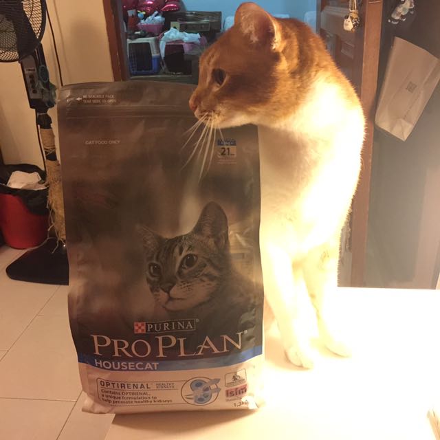 Pro Plan Housecat Optirenal Dry Cat Food In 1 3kg On Carousell