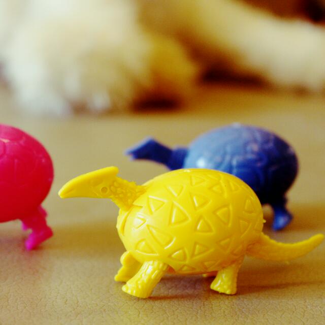 dinosaur egg transformer toy
