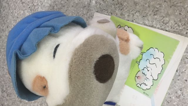 羊仔 （分類：其他）位於 Hong Kong。 由 samuel9870 提交（商品編號 101714873，圖片 2）。簡介： 。