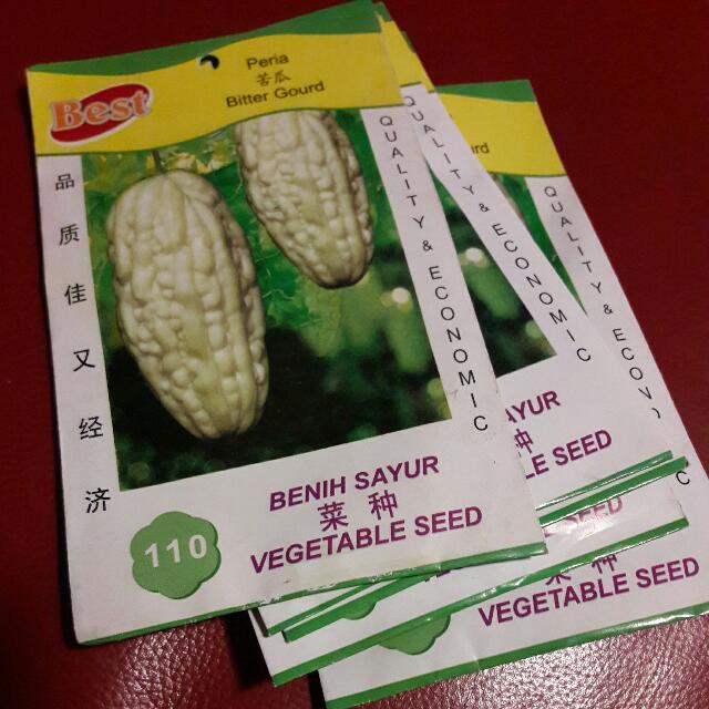 White Bitter Gourd Seeds Gardening On Carousell