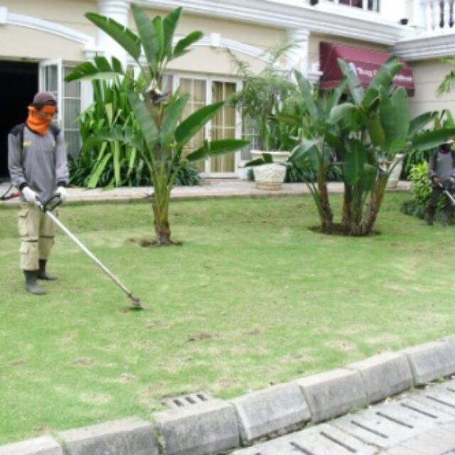 Potong Rumput Dan Pokok Home Furniture Gardening On Carousell