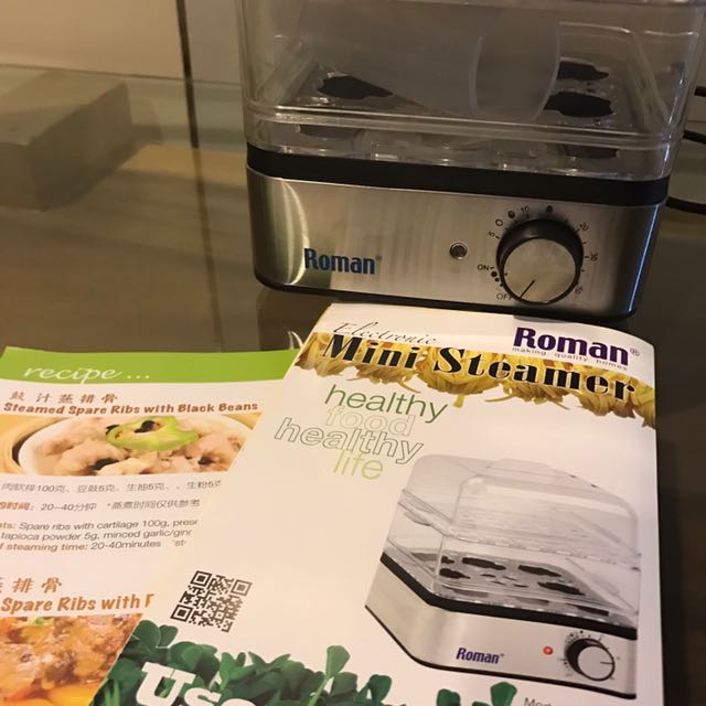 Roman Mini Steamer, TV & Home Appliances, Irons & Steamers on Carousell
