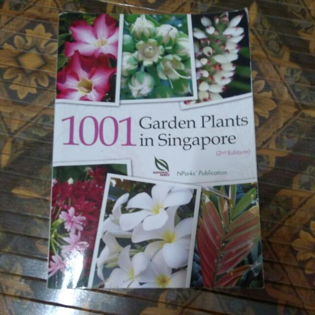 1001_garden_plants_in_singapore_1493127973_2c855172