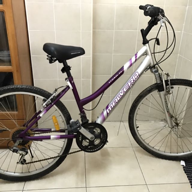 Malvern star storm ladies bike store