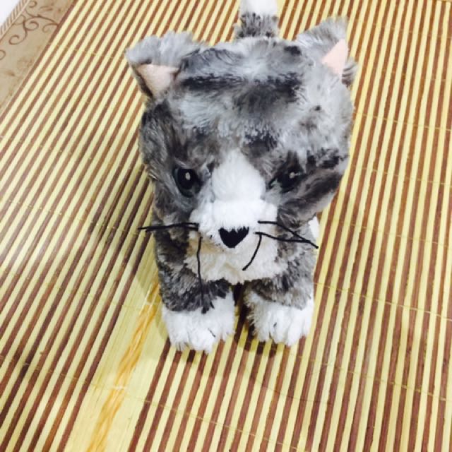 Ikea toy shop cat