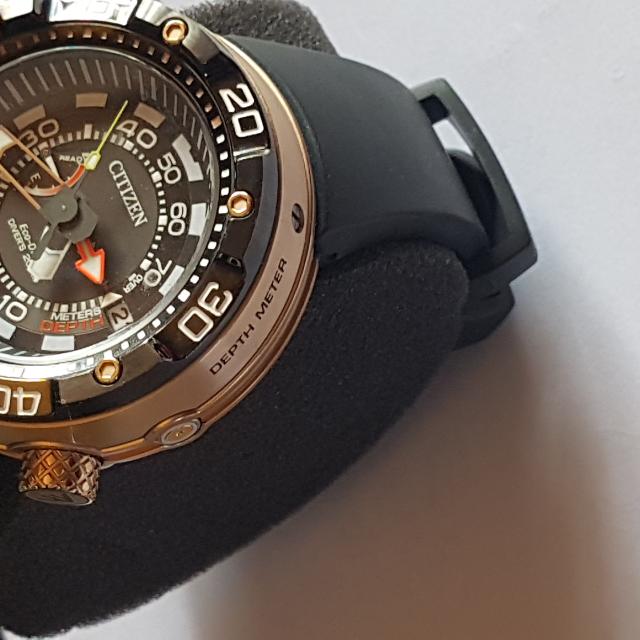 citizen promaster diver gold