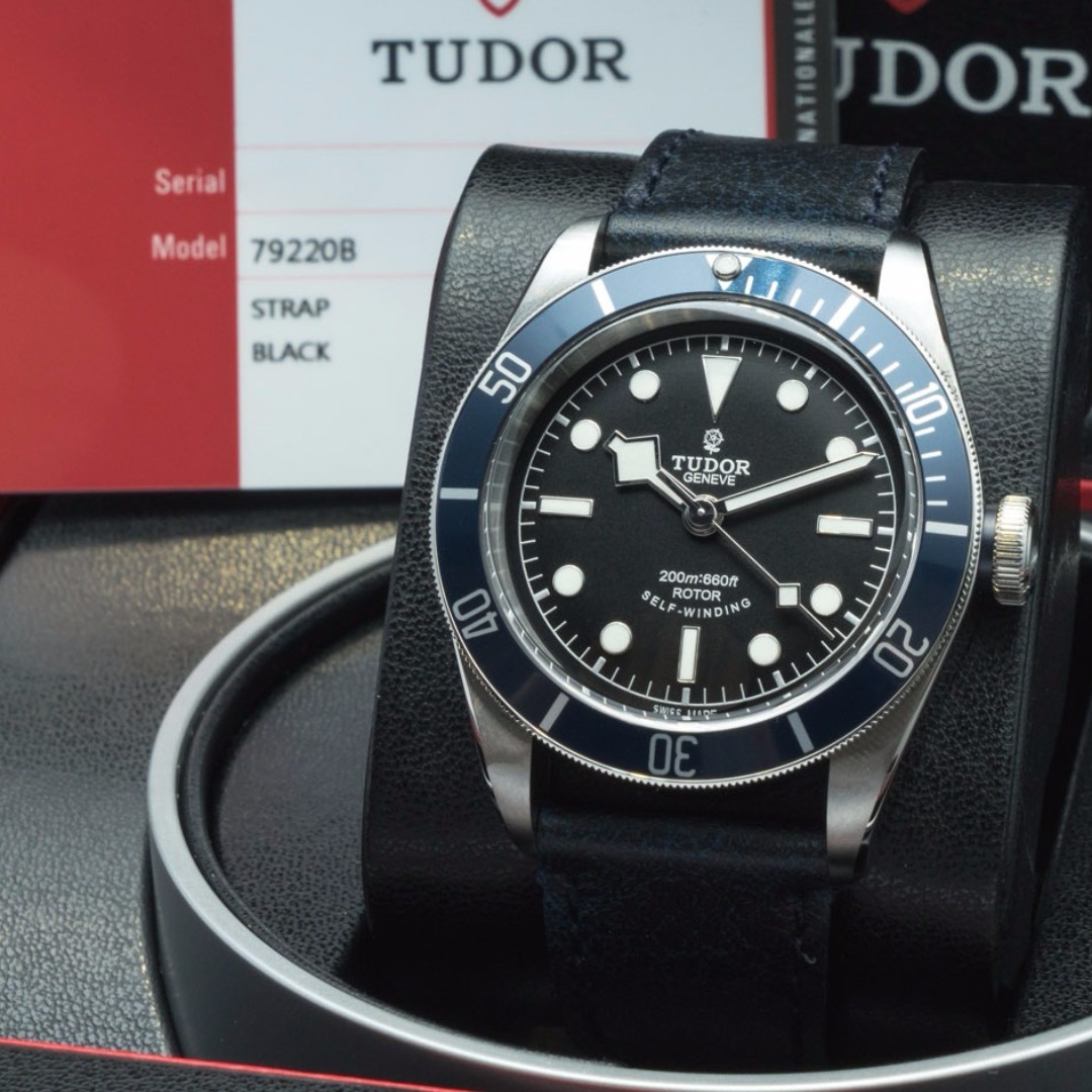 rare tudor black bay