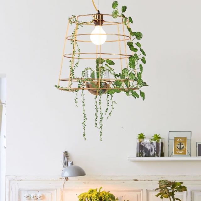 PO Hanging Plant Cage Pendant Light, Furniture & Home Living, Home ...