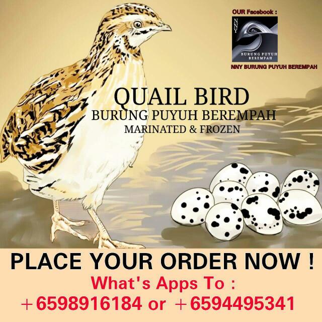 Burung Puyuh Berempah Frozen And Marinated Quail Bird Food
