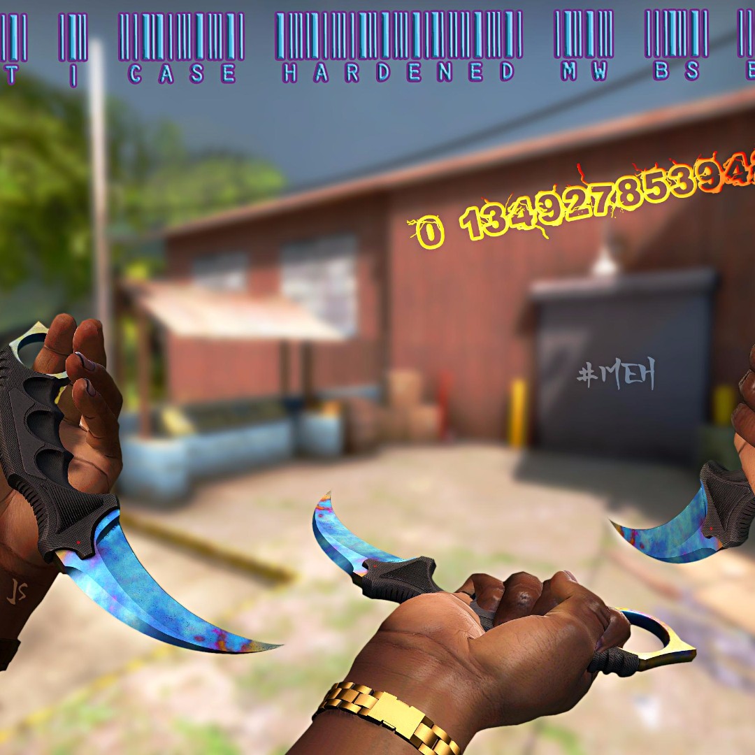 Karambit Case Hardened 95 'Hidden' Blue Gem, Video Gaming, Gaming