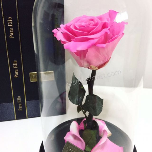 (Category: ) located in . Submitted by kpopshoping (Listing ID 228520143, Image 1). Description: .