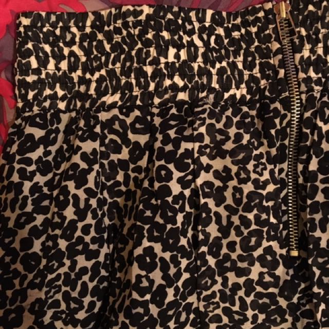 leopard skirt dotti