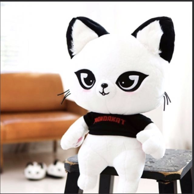 Strong Woman Do Bong Soon Plush Panda Cat Entertainment K Wave On Carousell