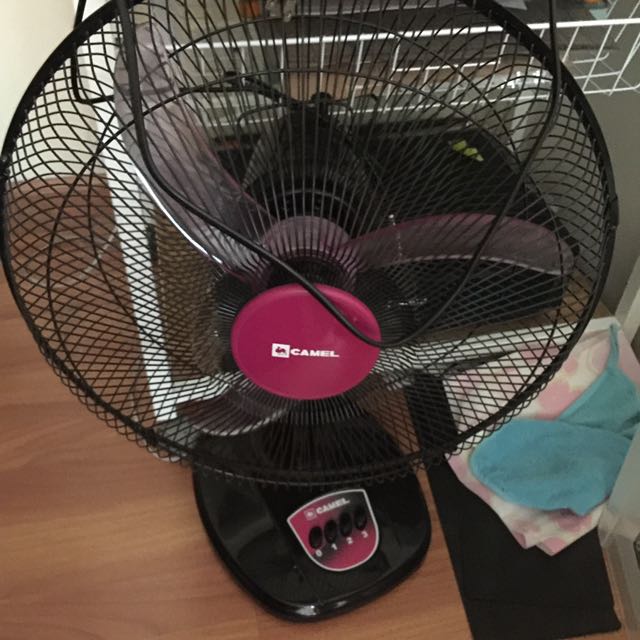 Bargain Camel Floor Electric Fan On Carousell