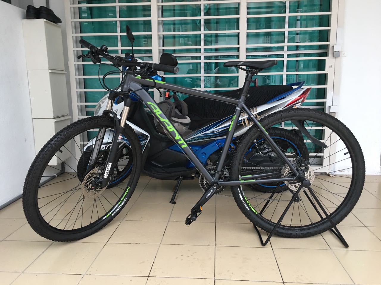 Avanti montari 2024 2017
